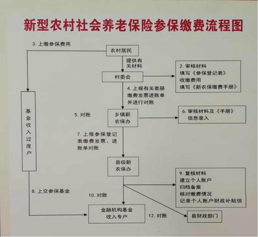 新疆农村医保和社保有什么区别(农村医保跟社保的区别)